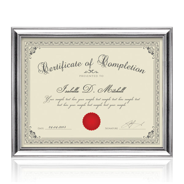Ellison Certificate Frame - Silver 11"x14"