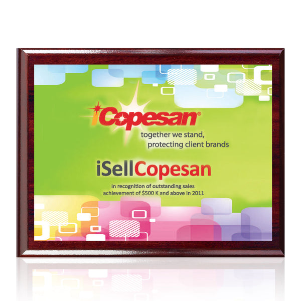 VividPrint™ Award - Holmes/Blue 6"