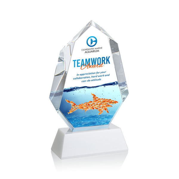 Augustine Star Award - Optical 8¾"