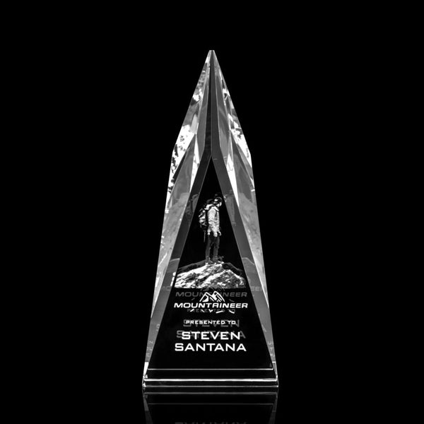 Salisbury 3D Award - Optical 8"