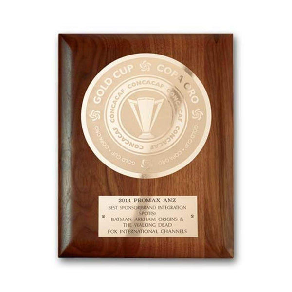 VividPrint™ Award - Nova Hemisphere/Silver 6"