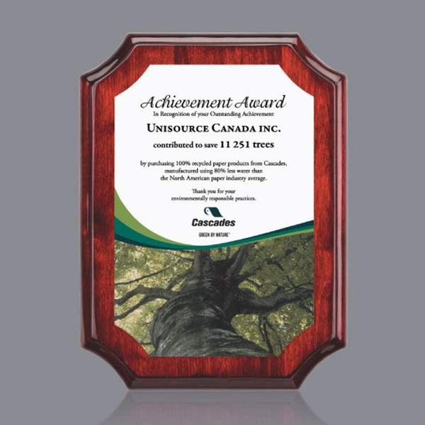 VividPrint™ Award - Blake on Newhaven/Amber 10½"