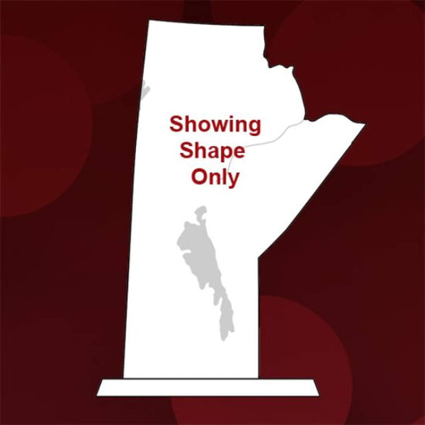 VividPrint™ Award - Pickering 6"