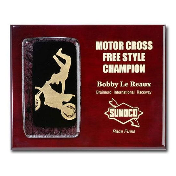 Micasa Award - Starfire/White 6"x8"