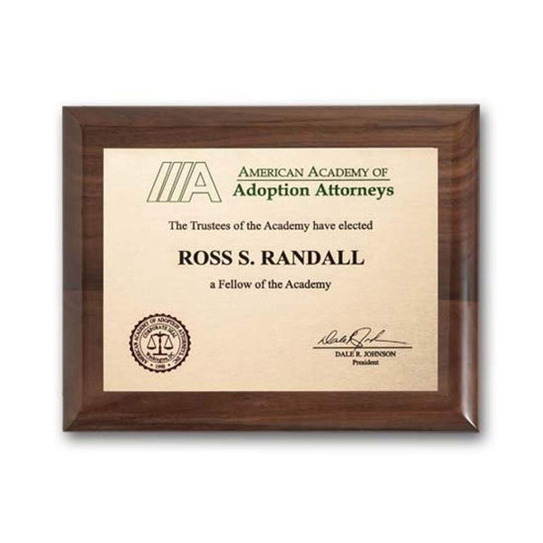 Keystone Award - Acrylic/Satinv Nickel 9"