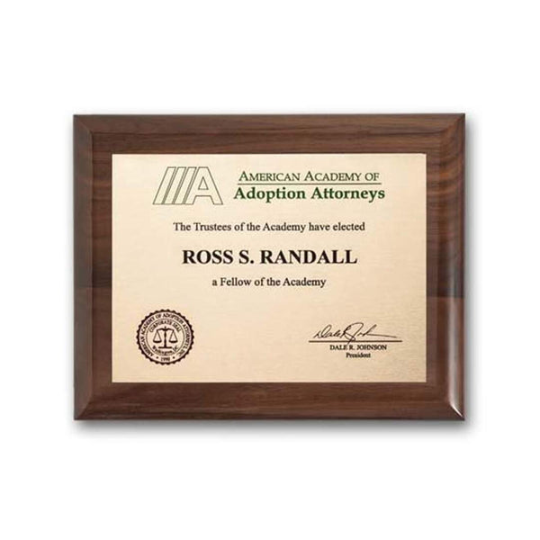 Intrepid Award - Silver/Black 11¾"